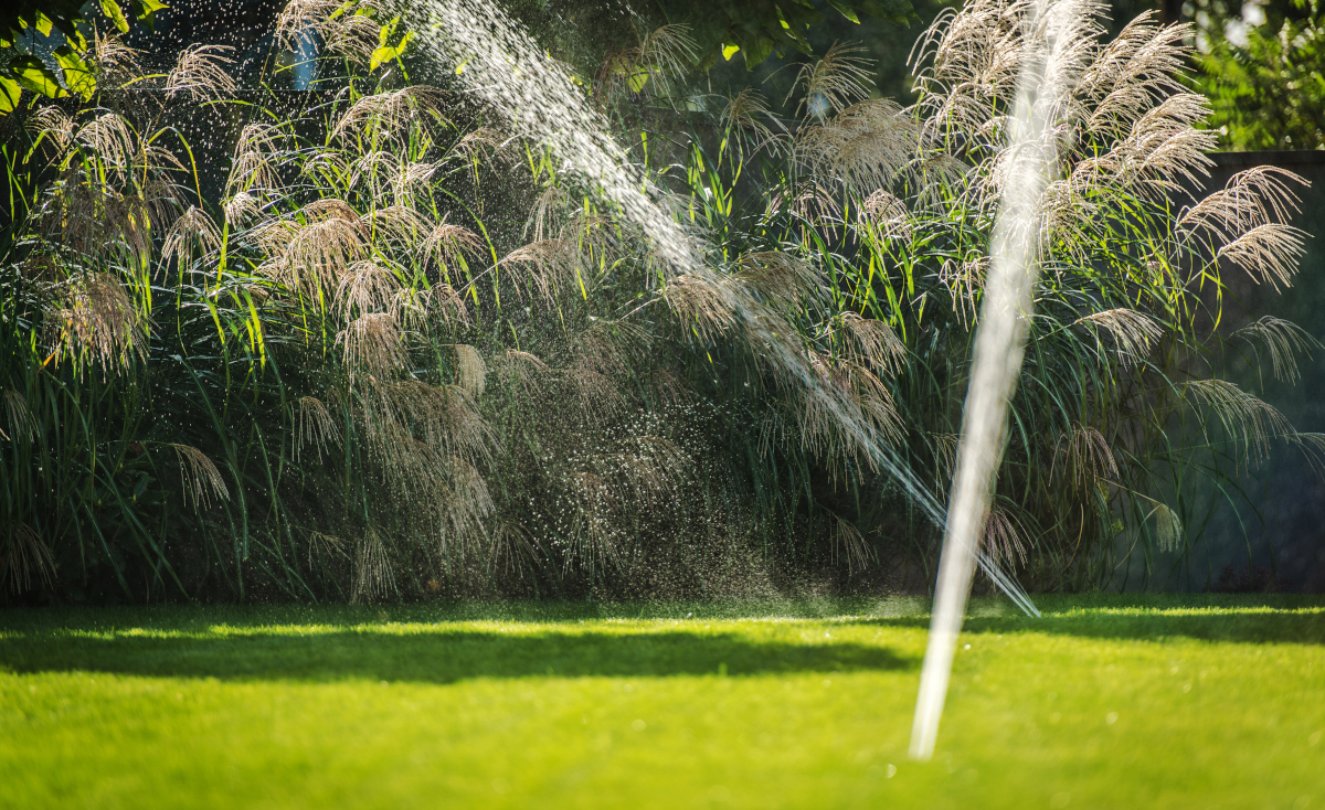 Premier Irrigation & Lighting Ottawa