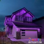 Premier Irrigation Uses Watts Lighting for Permanent Holiday Lighting Solutions Premier Irrigation Uses Watts Lighting for Permanent Holiday Lighting Solutions